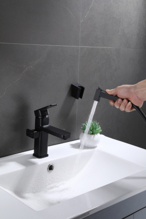 Cмеситель для раковины GANZER GZ12053-C Черный матовый