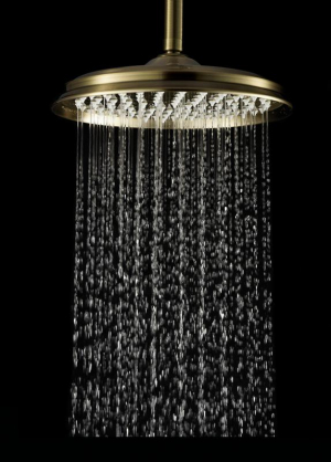 Тропический душ Elghansa Shower Head CD-220 Bronze